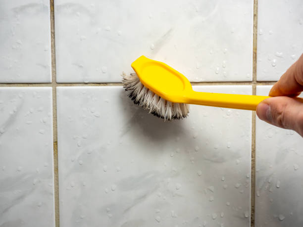 Best Commercial Mold Removal  in Converse, TX