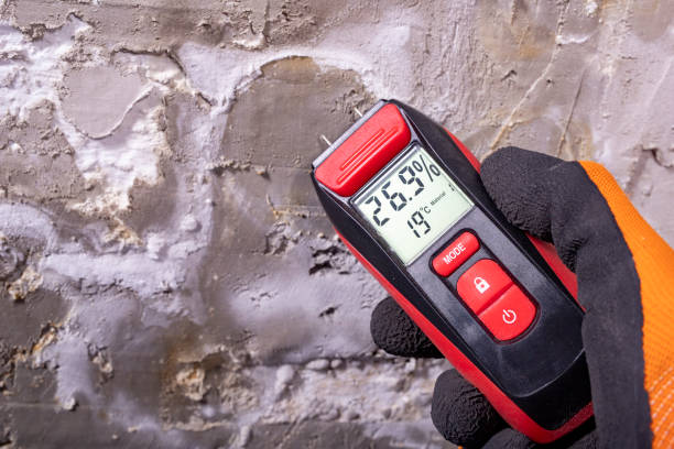 Office Mold Removal Services in Converse, TX