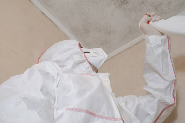 Best Mold Cleaning Services  in Converse, TX
