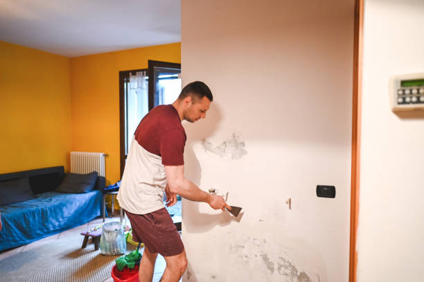 Best Fast Mold Removal  in Converse, TX